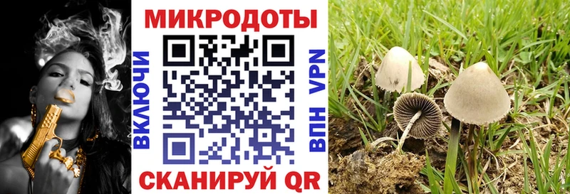 Псилоцибиновые грибы Magic Shrooms  Сысерть 